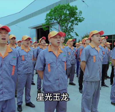 公司團隊